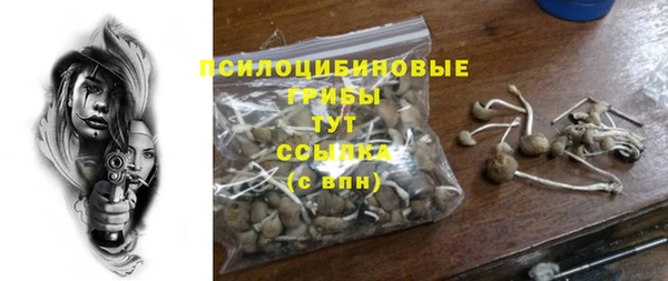 mdpv Слюдянка